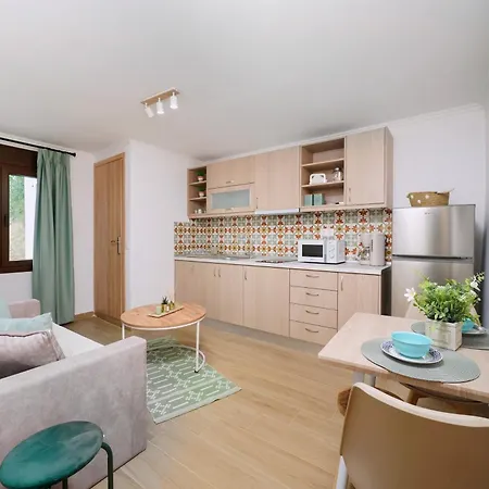 Emmas House Παναγία